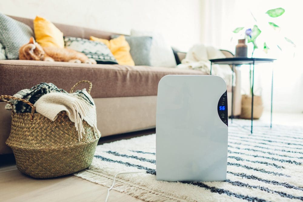 Indoor Air Quality – Why Does it Matter and How to Test